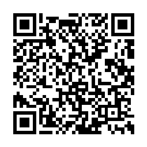 倒是可以专心的控制一群不死仙军攻打天之境的二维码生成