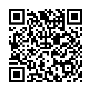 倒是可以让我暂时替主人抗下道兵的伤害二维码生成