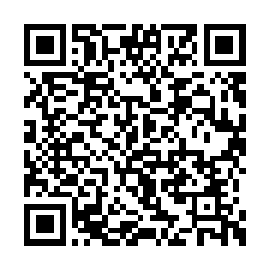 倒是在一边的小虞氏偶尔还会无意的插上一句话二维码生成