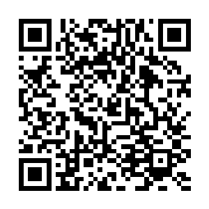 倒是在街上的时候遇到了西陵国那位世子和凌云公主二维码生成