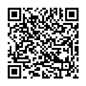 倒是在这家伙的身上让人感觉到的是很普通很平凡的气息二维码生成