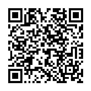 倒是墙壁上的一张四五十寸的照片吸引了张小凡的注意二维码生成