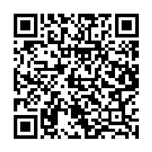 倒是她身边的那位男子见吴莉莉长得格外性感漂亮二维码生成