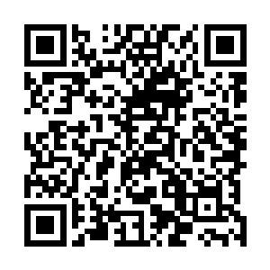 倒是对当初的事毫不知情的采薇轻轻的拉了一下我的衣袖二维码生成