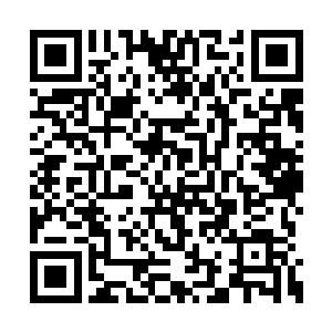 倒是很有我们元始族积极进取和昂扬向上的精神二维码生成