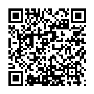 倒是很难得很少说话的唐城今天居然跟秦方说了这么多二维码生成