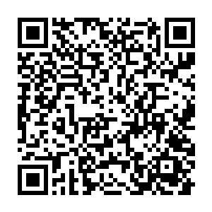 倒是忘记了……今日裴阳苏家的小女儿今日跟着苏大夫人一起进来二维码生成