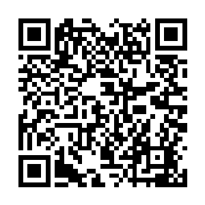 倒是成了奥利维亚提前进化出人形双翼的启发信号二维码生成