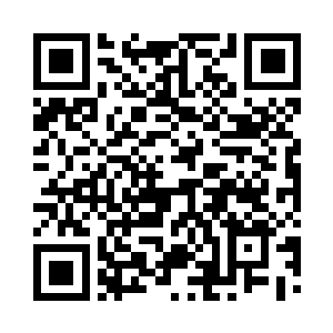 倒是所有的圣级大修士来到了遗失仙宫二维码生成
