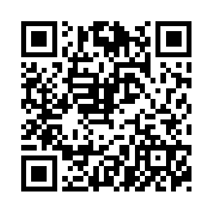 倒是捡到一个很漂亮很大的白色贝壳二维码生成