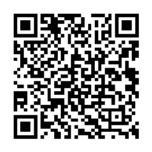 倒是有很多无力无钱治疗的无角人主动找到夕阳二维码生成