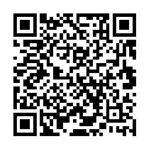 倒是有那实力堪比如今四大妖圣的强大之辈冒险进去过二维码生成