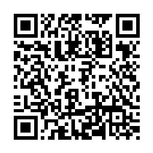 倒是比他低一年级的王耀武习惯了贺全贵的指派二维码生成