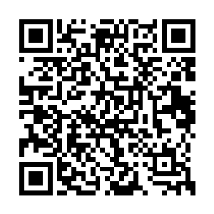 倒是沙小凡虽然如今的修为已经是人尊中期巅峰二维码生成