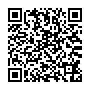 倒是秦嫣然毫不客气地替妈妈和姥姥收下了两串珍珠手链二维码生成