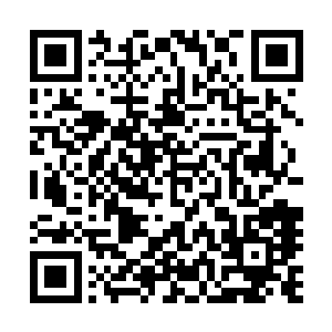 倒是程玉珠一句没事儿可以多来坐一坐让陆为民心情好不少二维码生成