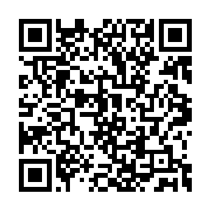 倒是能撑起一个看似比杨锐进入的还好的实验室二维码生成