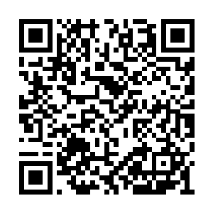 倒是被自己眼前看到的这个王府的建筑给吓到了二维码生成