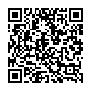 倒是让上苍视角的众人疑惑起了绯绯和绛珠离魂草的关系二维码生成