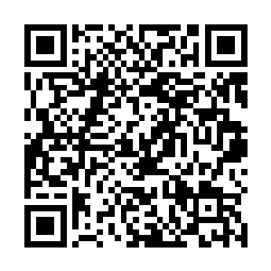 倒是让她用着一种在看新奇东西的目光在看着他的那儿二维码生成