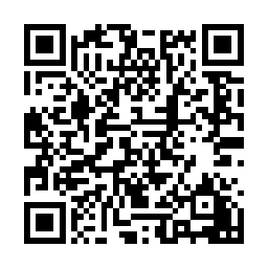 倒是让血妖姬们一行对于这次一行多出了许多期待二维码生成