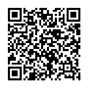 倒是豹哥拎着那个黑色的箱子朝洗浴中心的楼梯跑了上去二维码生成
