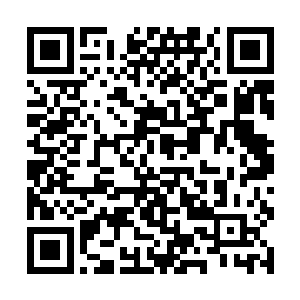 倒是越接近不死湖沼武凌锋背后的人距离我亦就越近二维码生成