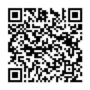 倒是趴在树上采摘桑叶的小姑娘倒是长得水灵灵的二维码生成