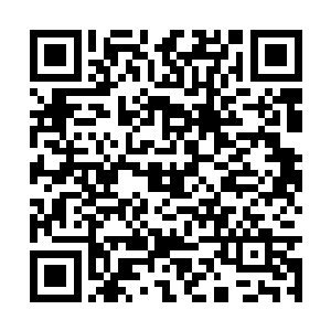 倒是邓铮很少当面见她这般倾情投入工作时的样子二维码生成