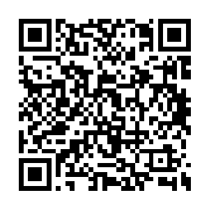 倒是那些在门口看热闹的服务员们又好奇了起来二维码生成