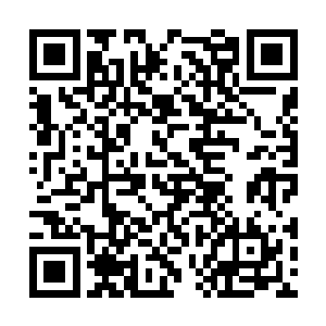 倒是那叫做笑梦彤的姑娘却至始至终一句话都没说二维码生成