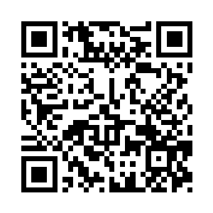 倒是麻天羽看着正在采购的两个小家伙二维码生成