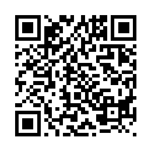 倒确实应该走人物专访的高端路线二维码生成