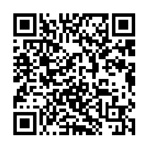 倒计时……是是是……敢问……敢问这位道友的名号二维码生成