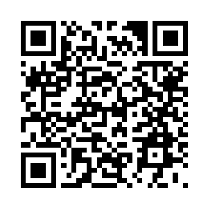 倒还真给他想到了个讨好主人的办法二维码生成