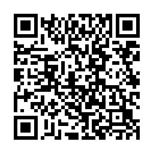 倒霉的斑鬣狗招惹到了它们最不应该招惹到的一个家伙二维码生成