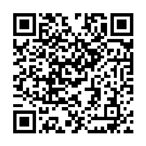 倘若他们拥有一千个甚至一万个种族全部的神通和智慧二维码生成