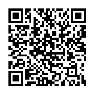 倘若修真者的道心和修仙者的实力能结合到一起二维码生成