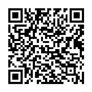倘若吕轻尘或者血色心魔之一成为了元始文明的传承者二维码生成