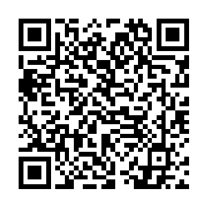 倘若她决定让他为陆凌风挡焚蛊之毒前能亲自抱一抱他二维码生成