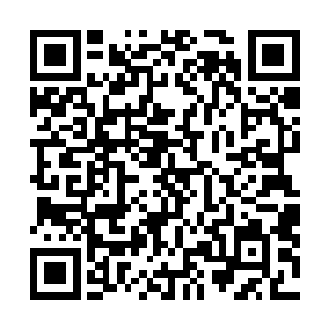 倘若当年告诉他圣弃界消息的人不是人族第一强者莫天云二维码生成