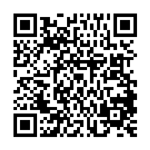 倘若我无法在圣弃界下一次入侵之前将武魂力的威力发挥至极致二维码生成