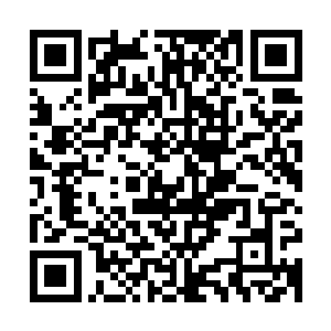 倘若所有怪兽都拥有坚不可摧的灵能护盾和瞬间自愈的恐怖能力二维码生成