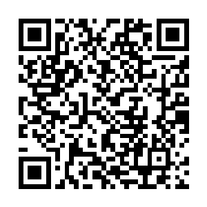 倘若此刻外面到处都有人叫着喊着要捉拿孟猊和龙家人二维码生成