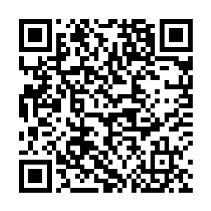 倘若能将这笔财富找到……楚国复国就不愁军饷开支了二维码生成