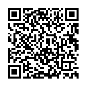 倘若被它发现并吞噬星海中所有的洪荒晶脑残骸二维码生成