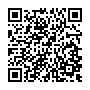 倘若让木灵族知晓了我族已经在圣界偷偷发展了势力二维码生成