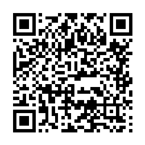 倘若遇到了媸怪和对方都是奄奄一息两败俱伤的极品情况二维码生成