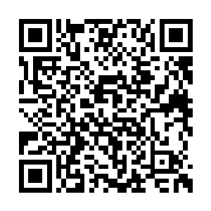 候在别墅门口的仇烟媚和仇仲庸仇仲谋对视一眼二维码生成