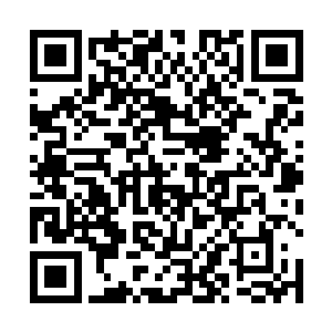 候建军的医术在邹老爷子的十几个弟子中算是最差的了二维码生成